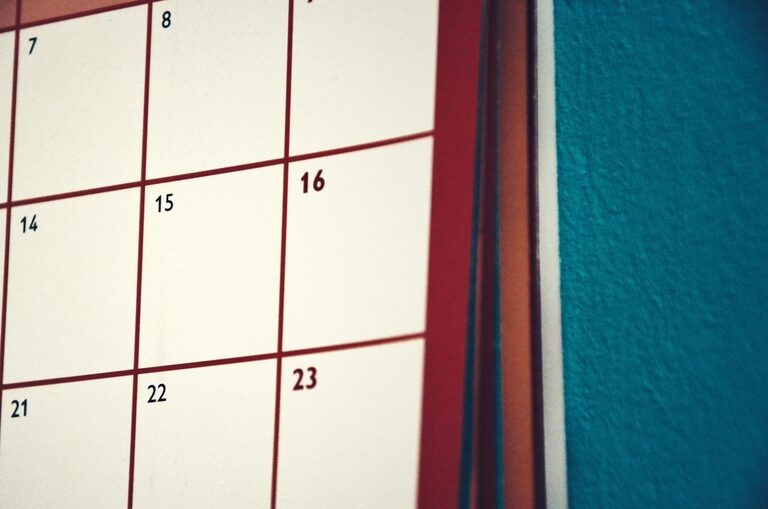Simple Cleaning Schedule to Tidy Your Home All Week